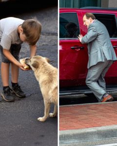 A Boy Shared His Sandwich with a Stray Dog