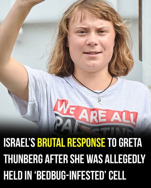 Israel issues new update on Greta Thunberg