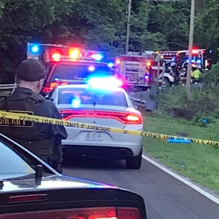 family trip turned into a he