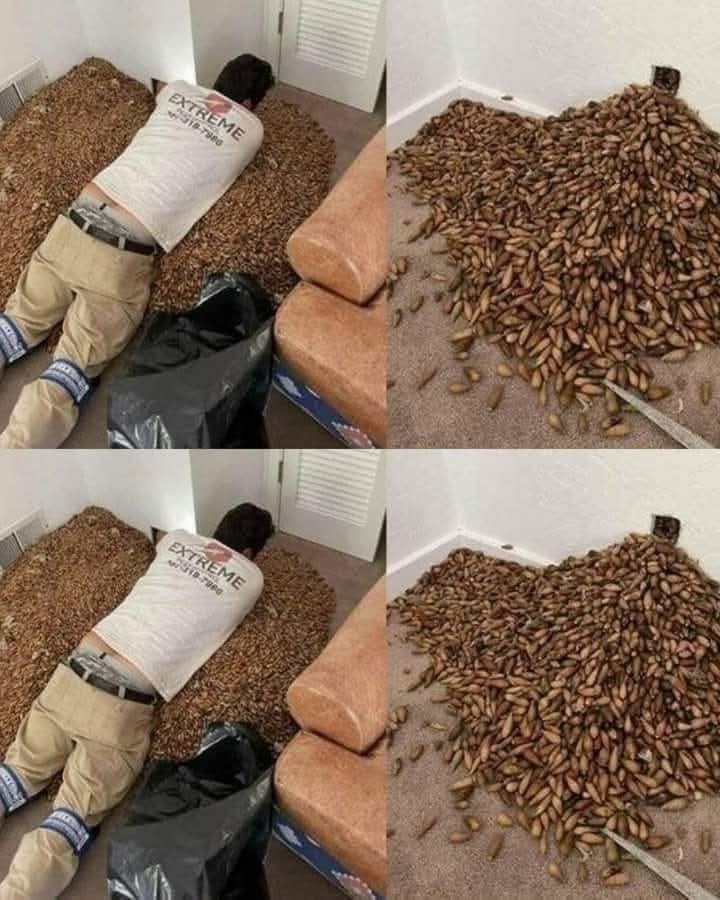 A man smells a strong smell in his house, w