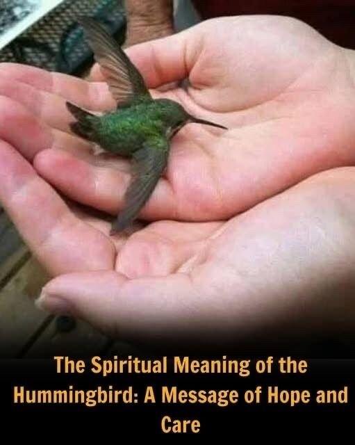Did You Know That If a Hummingb