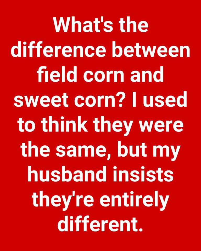 Difference Between Field Corn A