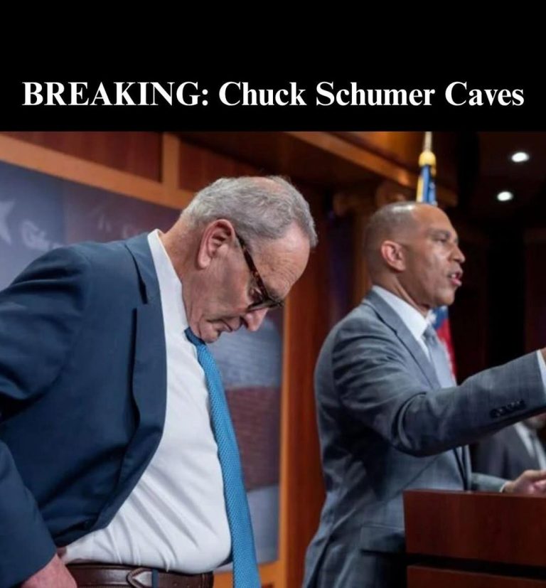 DEMOCRATS BACK GOP PLAN TO SAVE