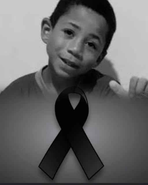 8-year-old boy loses his life by falling into