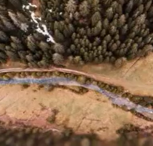 Drone Captures Something Nobody Was Supposed