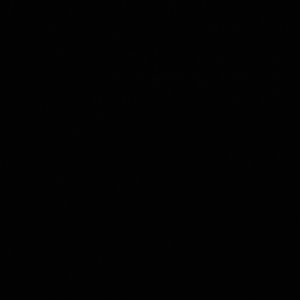 BREAKING: MASS SHOOTING