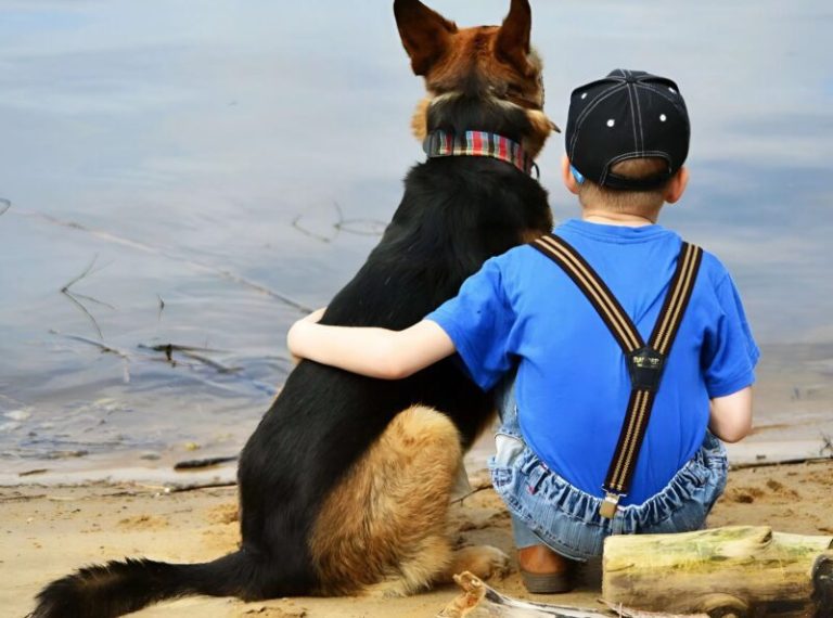 Before the surgery, the boy hugged his dog