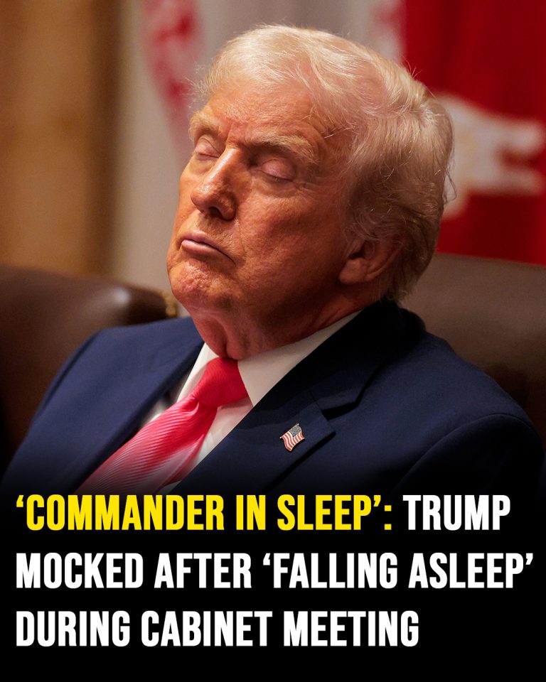 ‘Commander in sleep’: Trump m