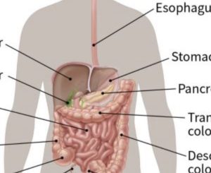 Cancer in the stomach develop