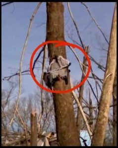 A Family’s Frightening Night Becomes a Story o