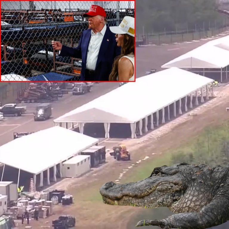 WATCH: A Look into ‘Alligator Alcatra