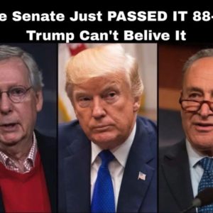 Senate Approves Bill 88-2 — Even Trump Was Surprised