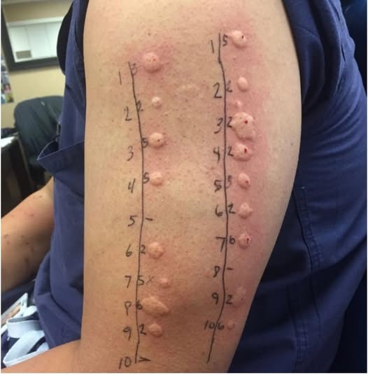 ‘Mortal Kombat’ star Cary-Hiroyuki