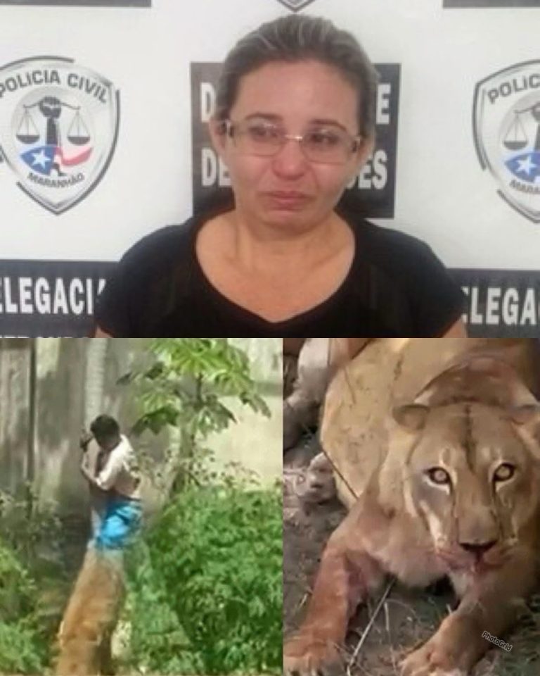 The mother of the 19-year-old just confessed