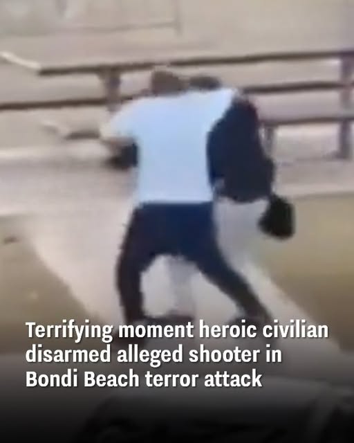 Terrifying moment heroic civilian disarmed