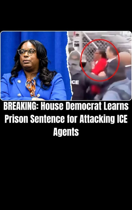 House Dem Facing 17 Years In Prison Amid