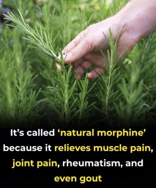 The Powerful Benefits of This Time-Te