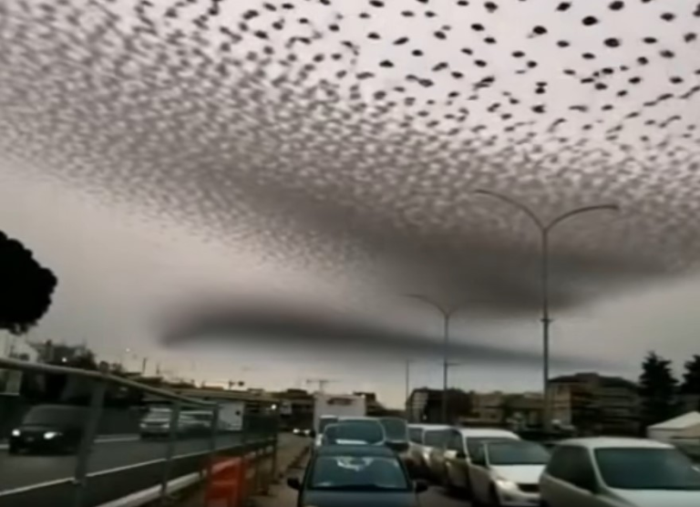 ALERT EVERYONE One Hour Ago Mh