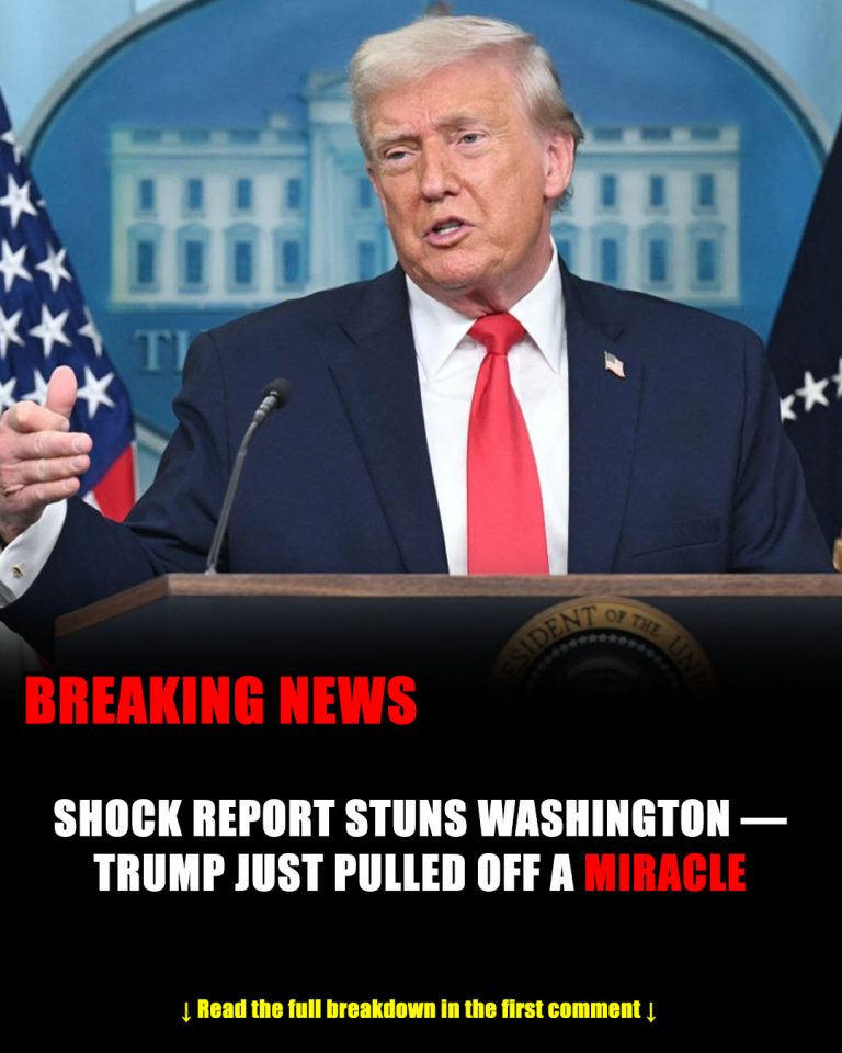 Silent Cities, Sudden Shift