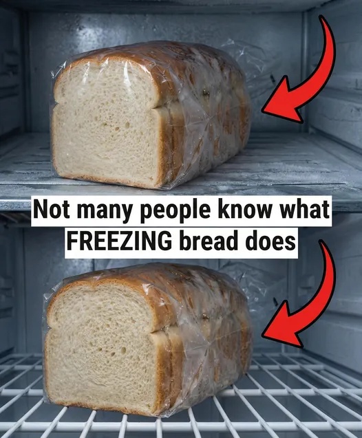 A Practical Guide to Freezing Bread t