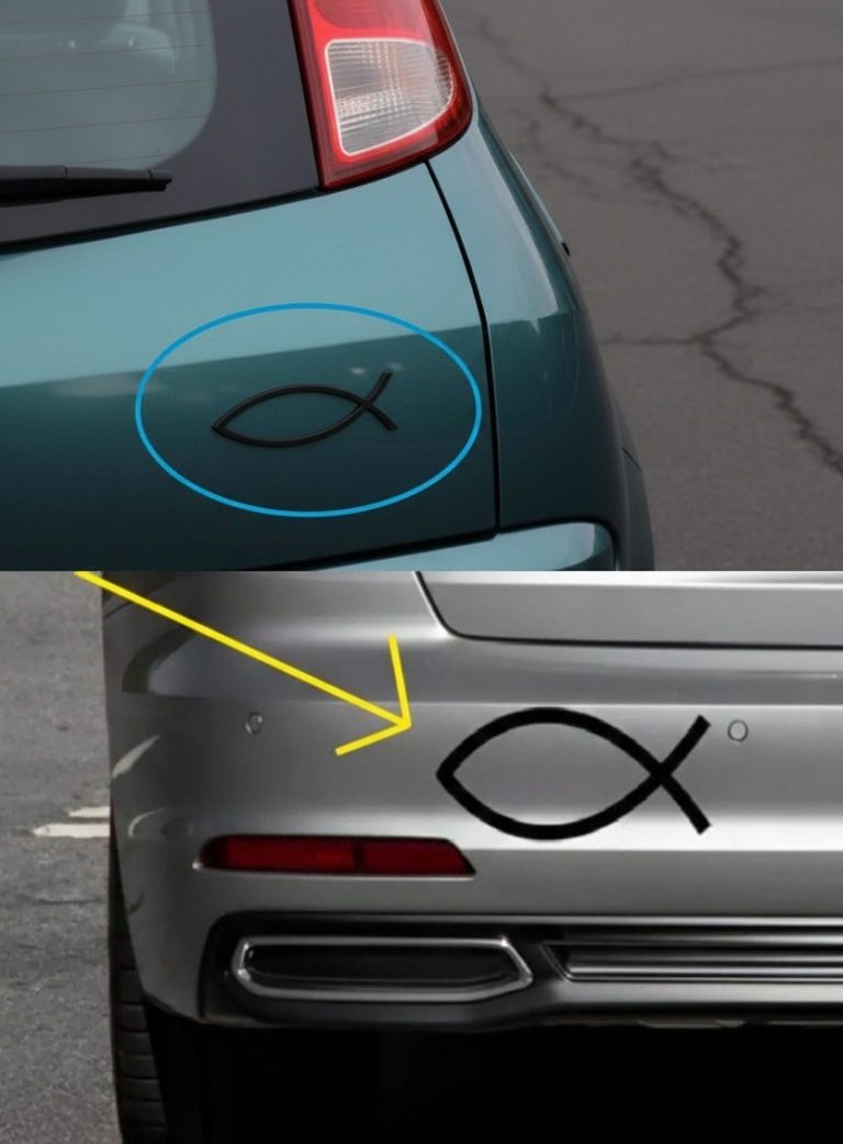 What the Small Fish Symbol on Some Ca