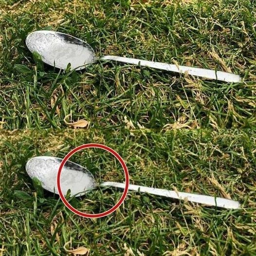 Here’s Why You Should Put A Spoonful Of S